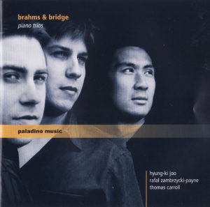 Cover CD Brahms - Paladino