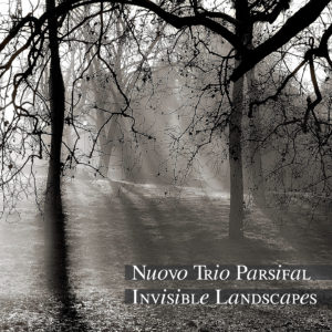 ntp_invisible-landscapes_cover-believe